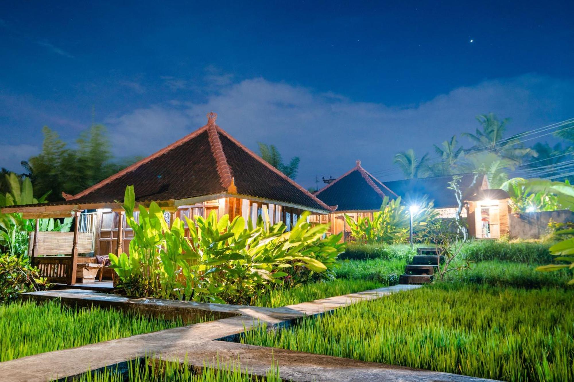 Ubud Sawah Scenery Villa And Homestay Tegallalang  Exterior foto